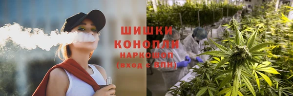 сатива Пересвет