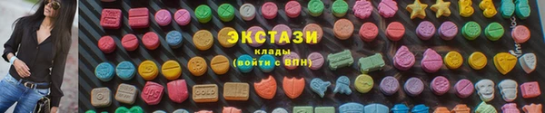 индика Костерёво
