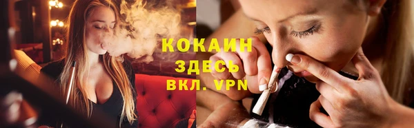 твердый Пестово