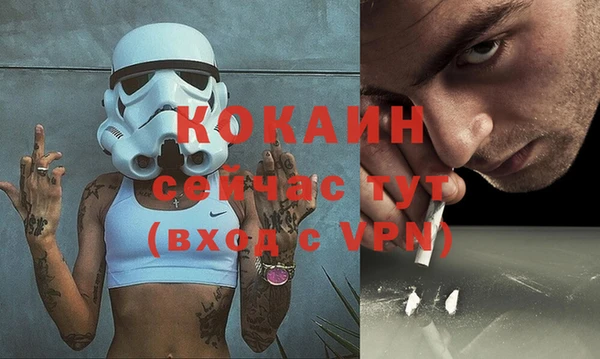 сатива Пересвет