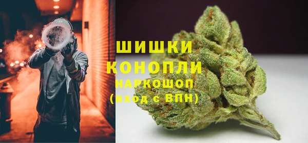 PSILOCYBIN Вязьма