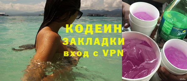 индика Корсаков